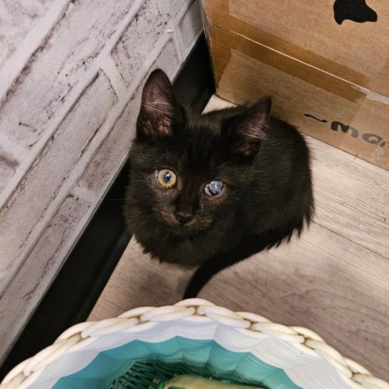 08e8d476821a1806e5f4ce27bcb039b9