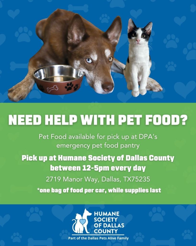 Support Free Pet Food Pantries in North Texas to Keep Bowls and Bellies Full 2 free pet food at HSDC