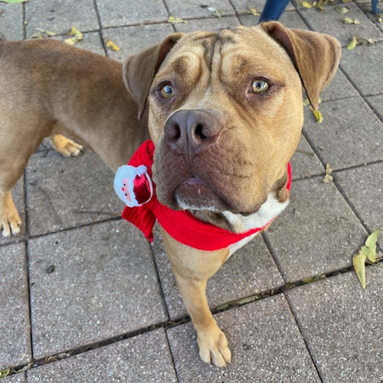 13d9e124a8ae0e13546e6694039947d4