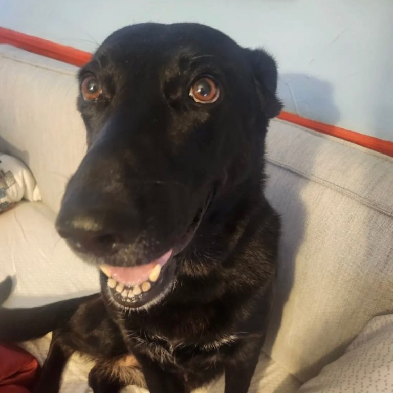 15ccd6b5c608c45b7a15f6389c347204