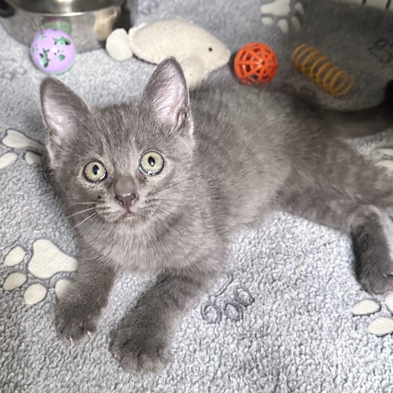 181cc40b147bff3e1f6f5616ee42679f