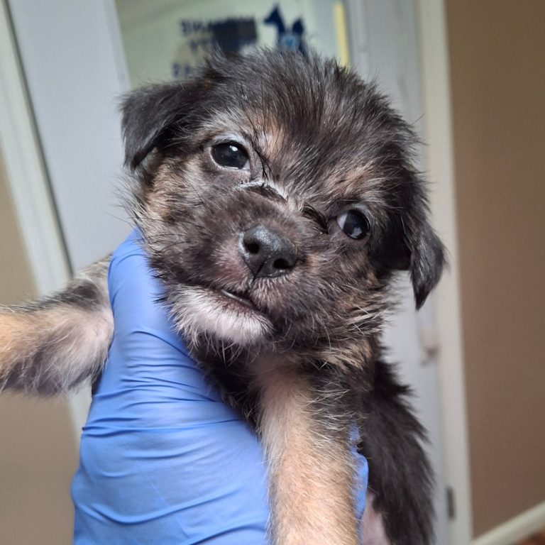 185faaba7de2f516b47a1203d5c3dfec