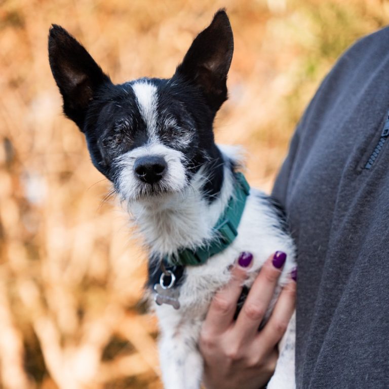 1ccf781965c90529136950c2fa42f691