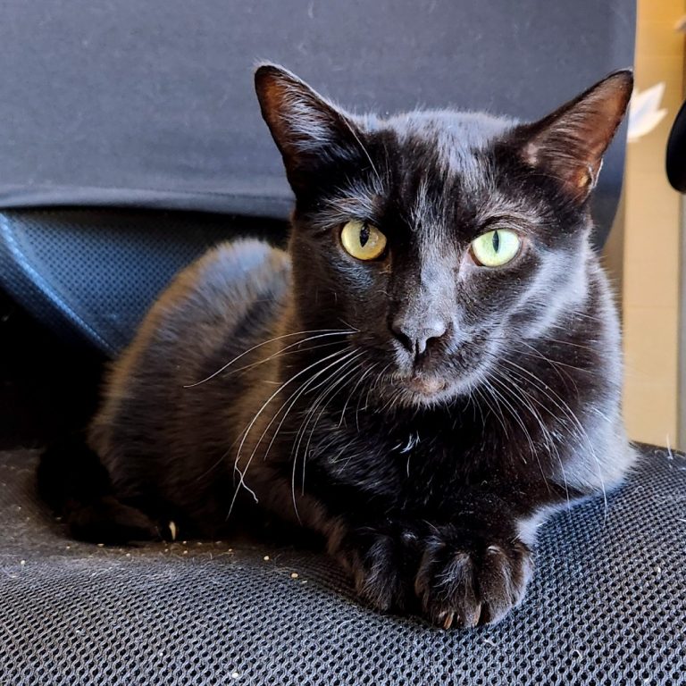 1f82143596f21890946206419843b840