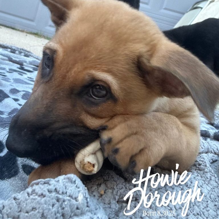 220cfc46ae06d3b937ba497a9bcf0c50 1