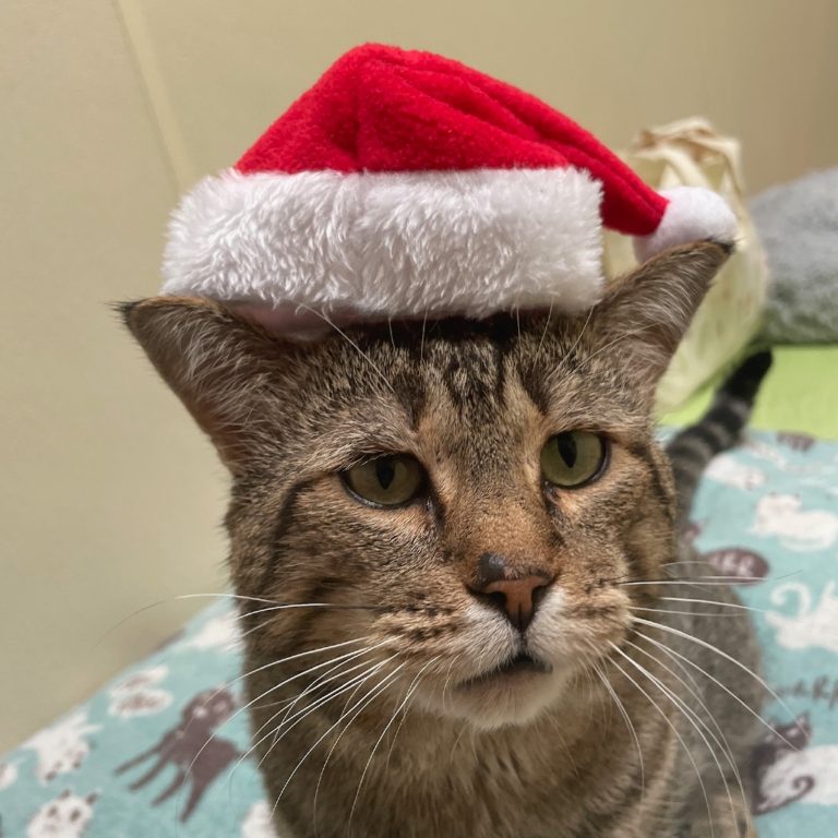 291a4f18e51a453094b8815ba5482f66