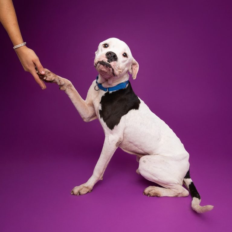 31ccdbfc2a863ac051178a6ac24a29af