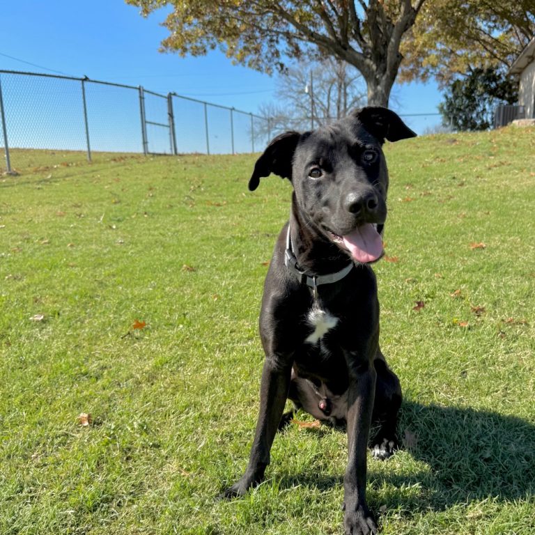 353753c774a636fbfa0c809d2361d013