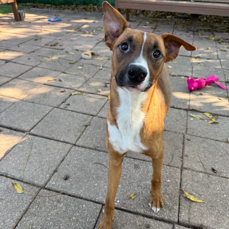 36e0a2674778d554c3cafe121f8e6dda 1