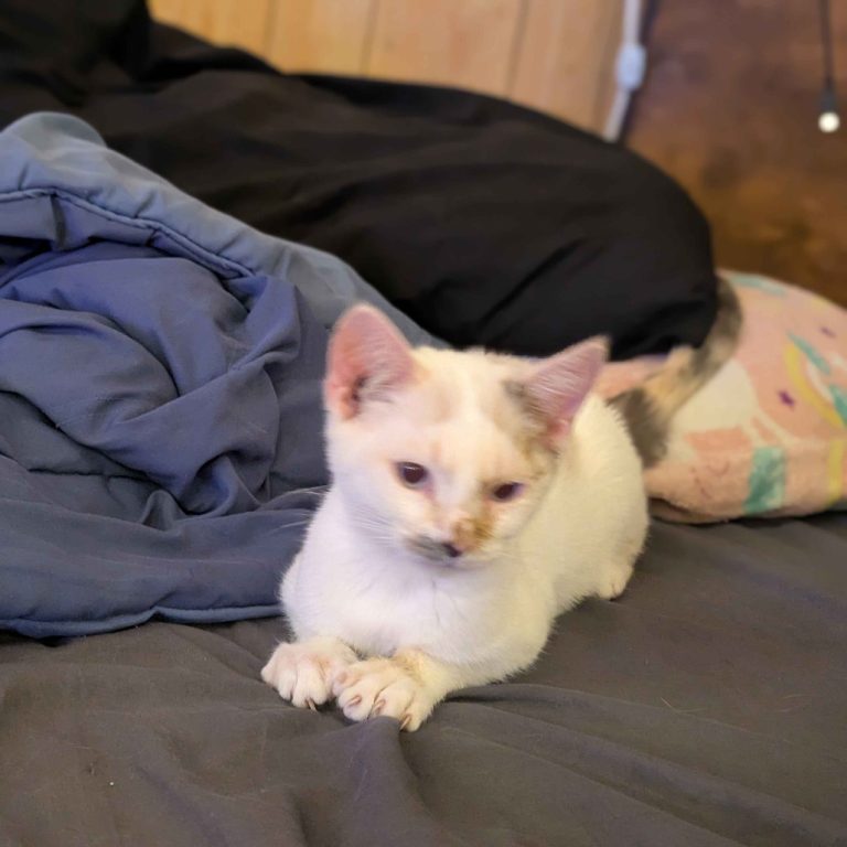 3701297714c0841321c03255ce8c9765