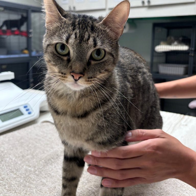 3915c2d535f62f182958505362c08b84