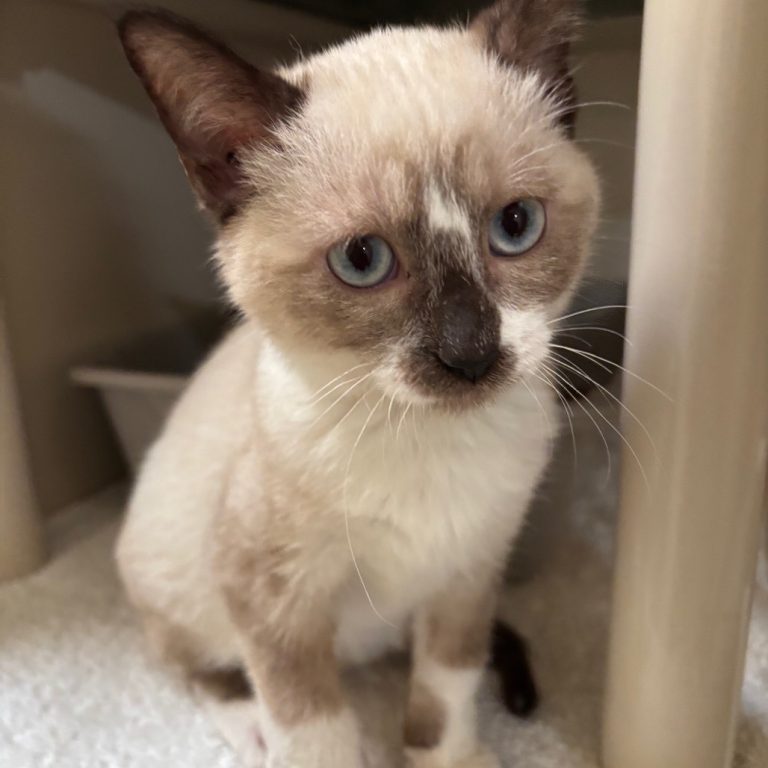 3eab732e0c7750cd92d83d2a523bbd08