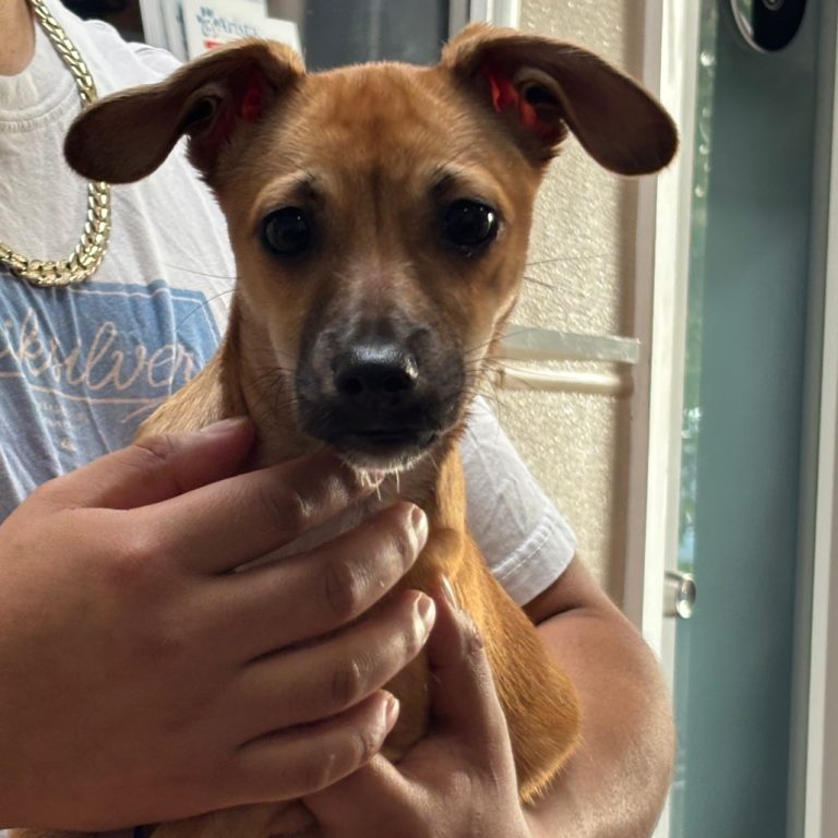 41ade57a700b93f18c26782acfd31450