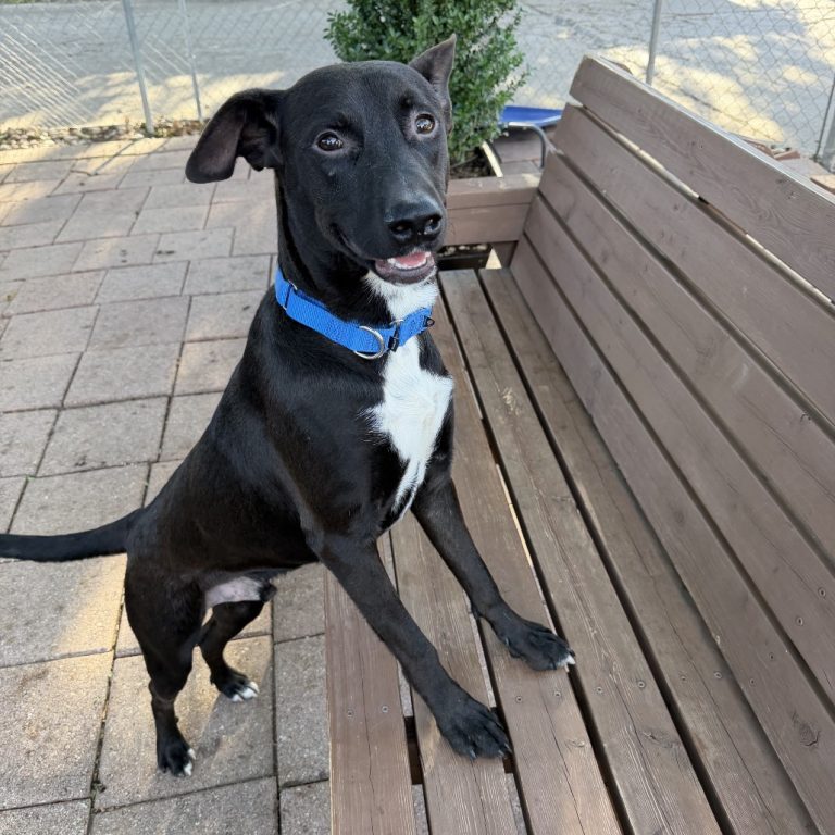 45333854175765c281e3981c907d9a9e