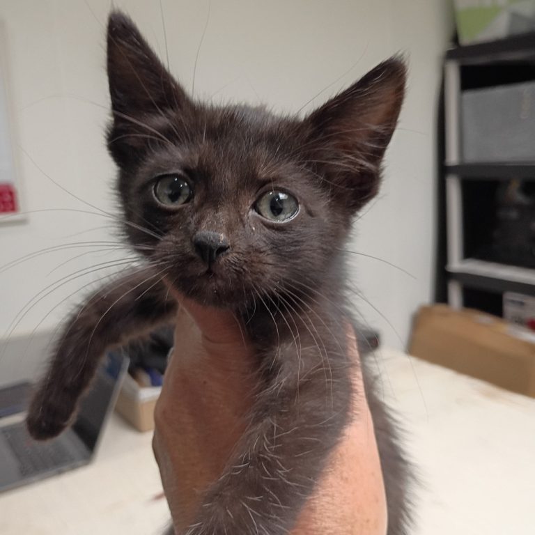 4599ec0fd4891f379fa26d4c613ae9f8