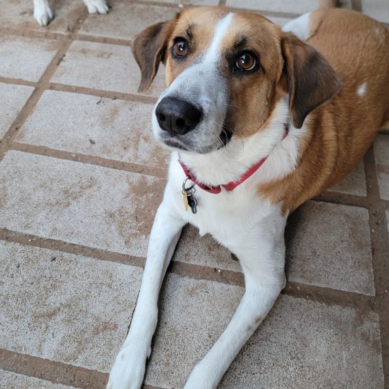 4677b9dca465b2e31b51790fe7dc176c