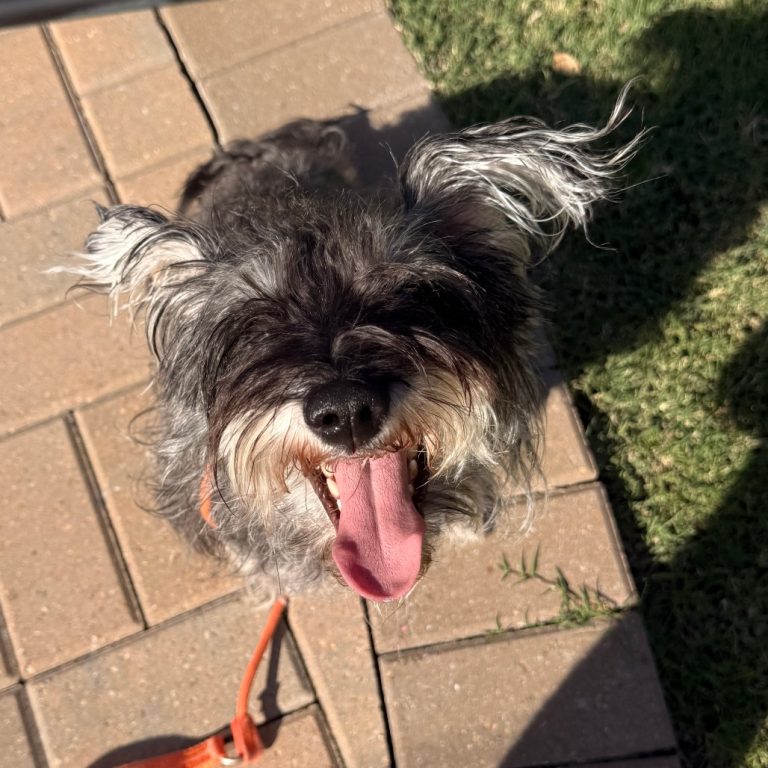 48d62396fa6db685f6aca9a98ade4319