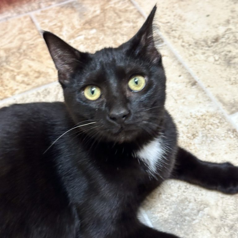 4c625bc99c7f3456274cf2601ac03977