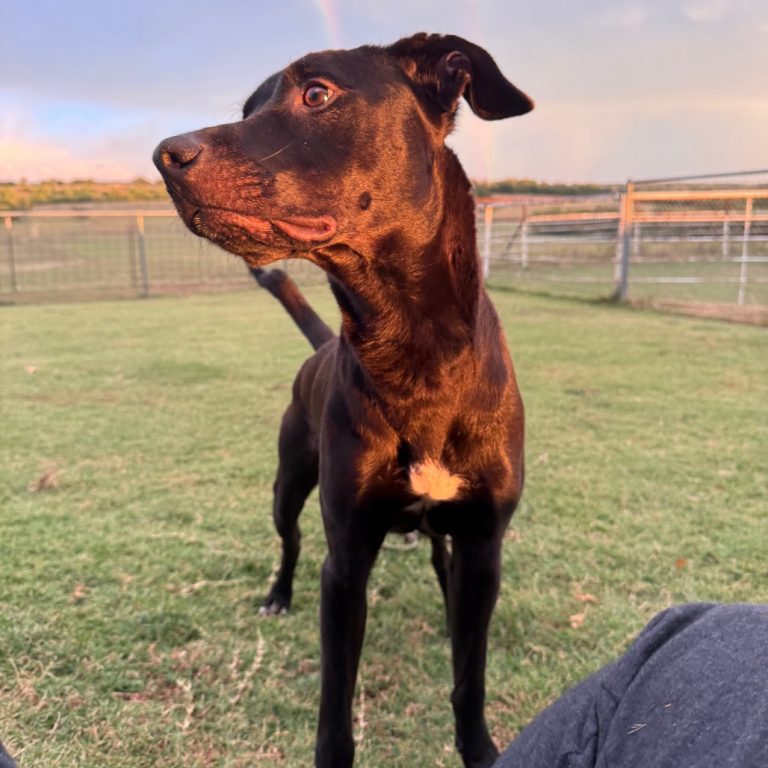 521ab33f08633eaab5db24aba149e50a