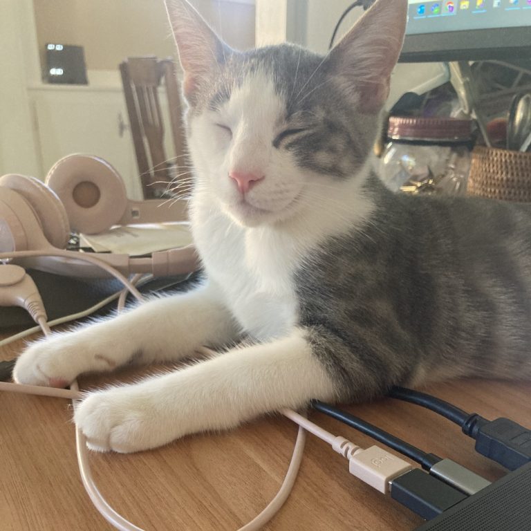 566dc42b48aca222c891f32067da530b