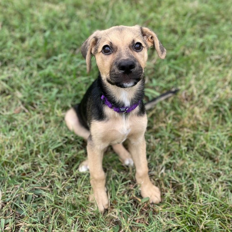 56c43fdc21bf0a2871885316aca1543c