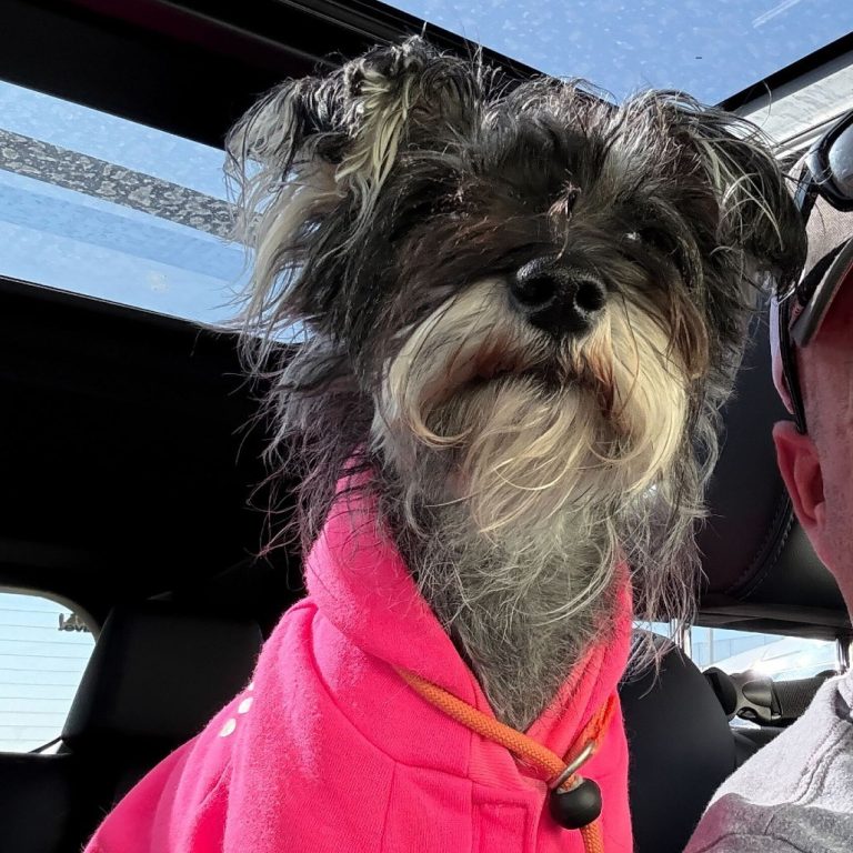 58a1ab09008fccbb1c0d9282aa94850f