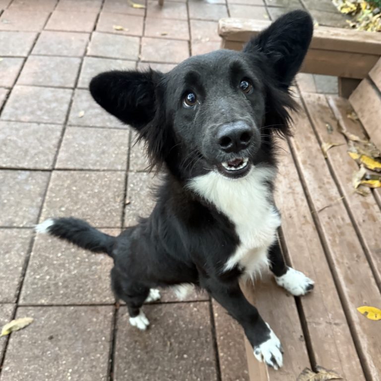 596af1239a8802ce34aedd08cf10d236