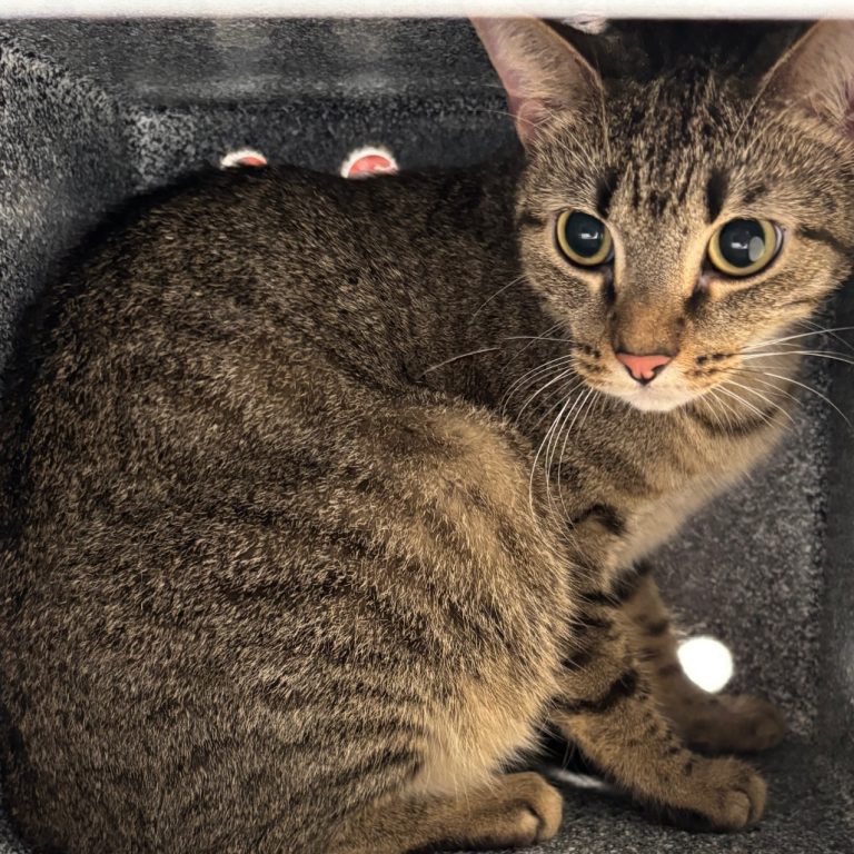 59d5b3524145235d0560bddab2a6d174