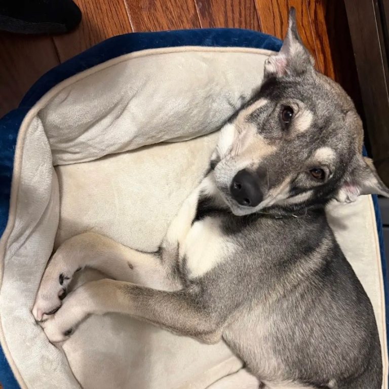 5b12ae2a5326b9556f299c19e99b35a2