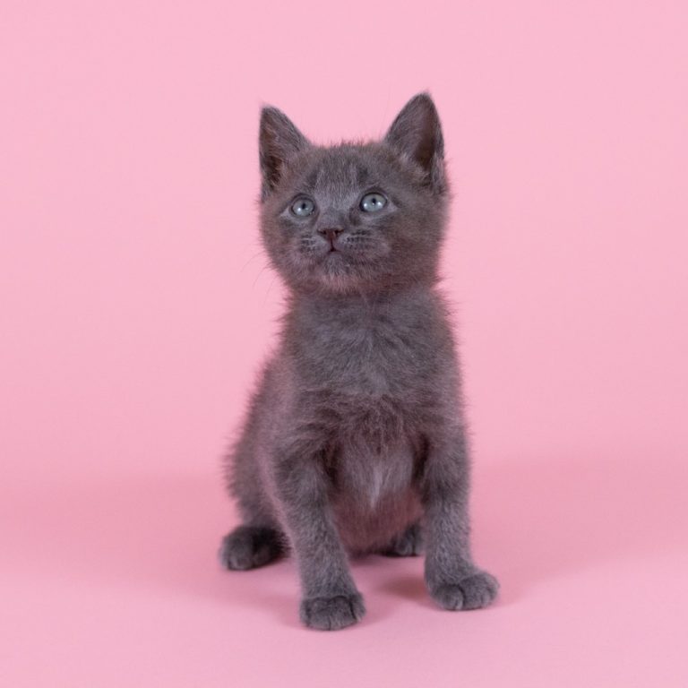 5b791737bf2f690751cda9664c65f239