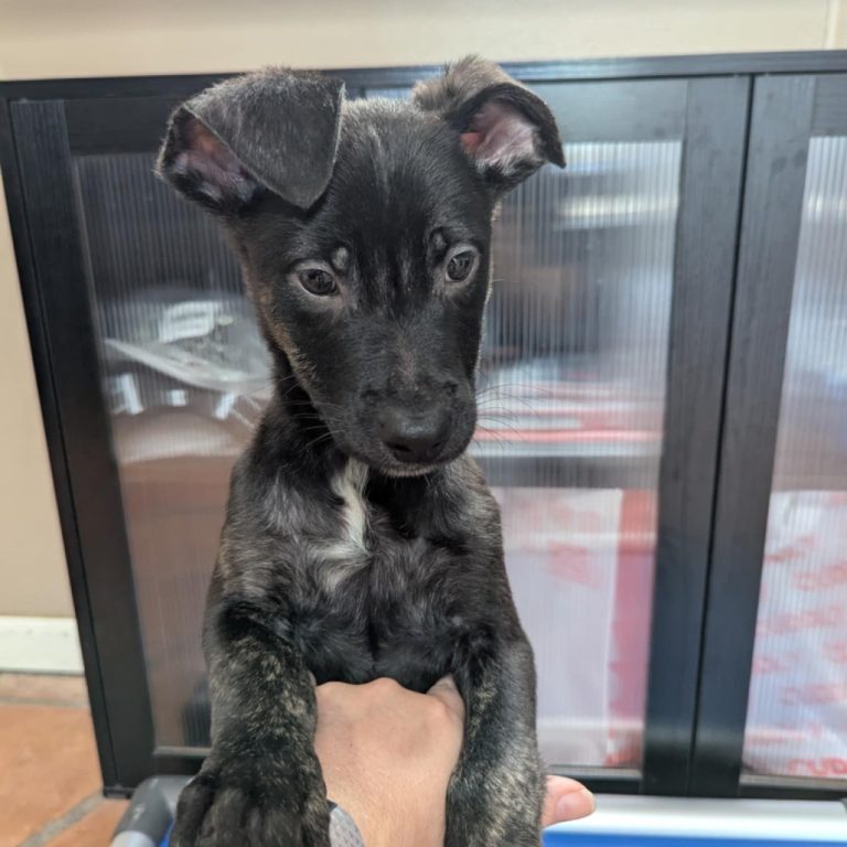 60ed9b7a32e2c2a556a3b622fdccb3f8