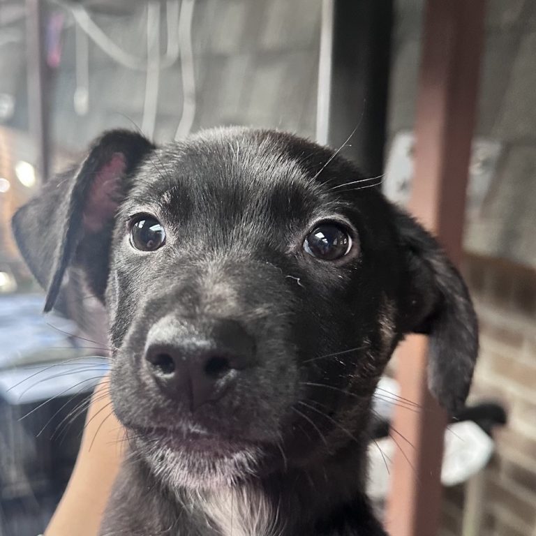 651b24710bf5c0c0a3e2e4d105f87d1b