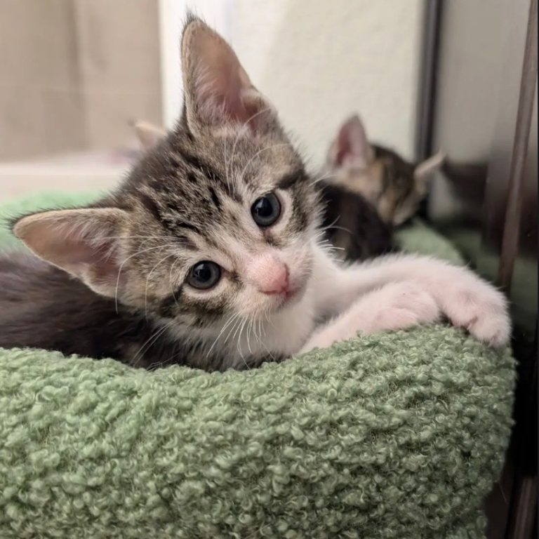 67cdbd24b263eaff1c910445968ca130