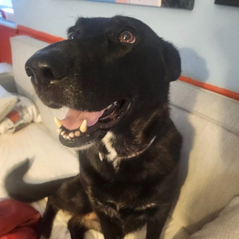 6975110043db2f1f583d6a867b99815f