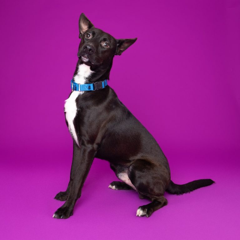 6ca3caf439b8b2884ce80f9913964811