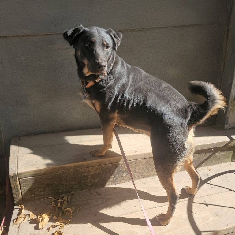 6eba3b0bdf1013e0b1ff28817cf6335c