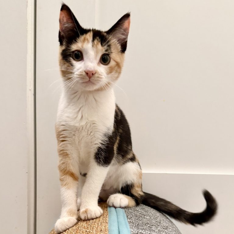 70166d5c366d3e9d40c9e2b09bf92fd3