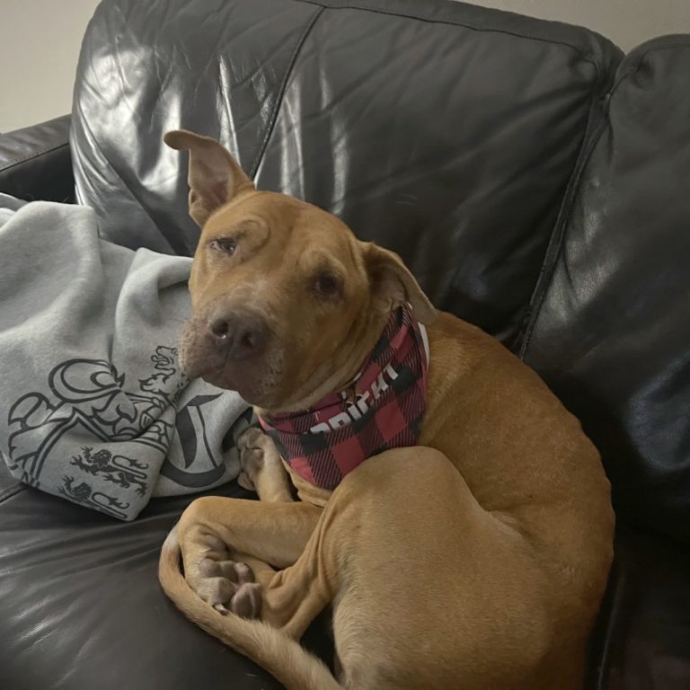 733bdc0f5866eda6da3d259160b395c1