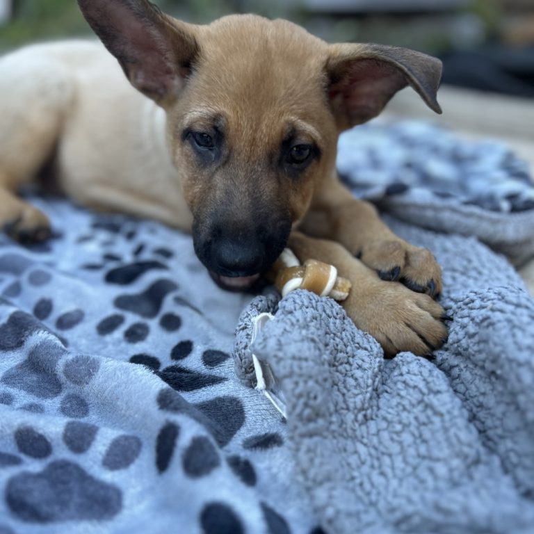 7559411d420588513bf24bc93c8a0c74