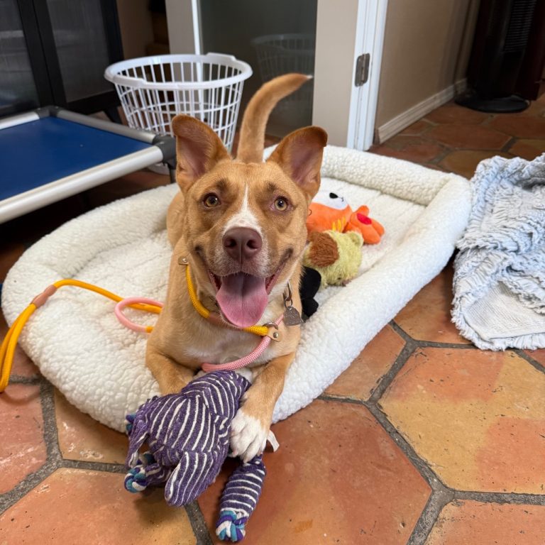 7a0716159d5a8748138cc1f06c13a320