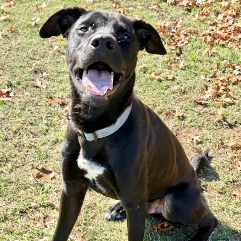 7a1a836b3dcfee2e75ca1e94c6acc80d