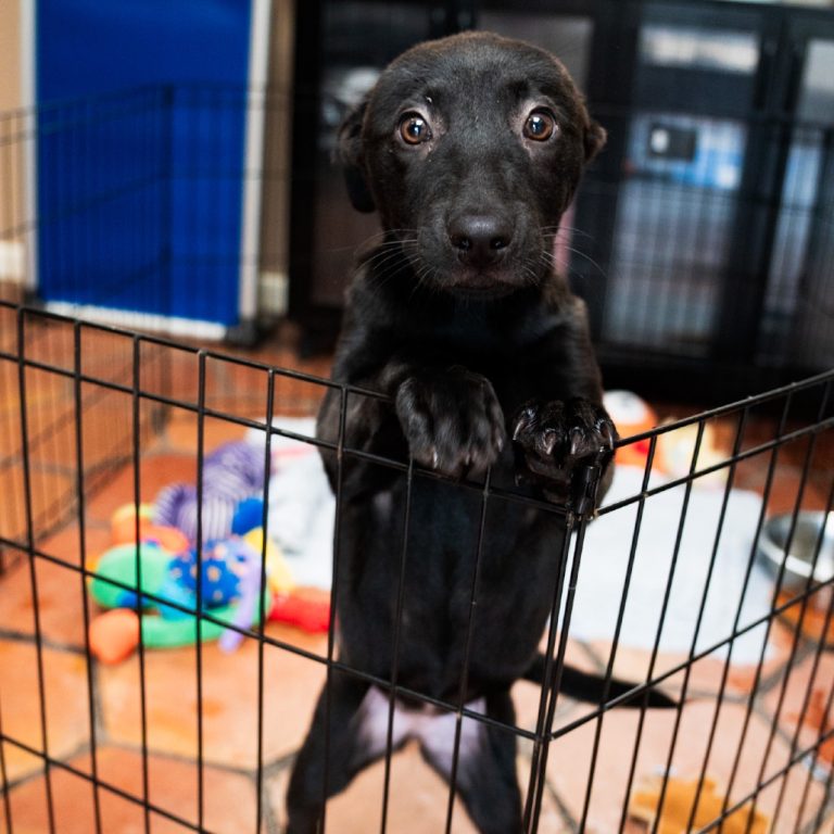 7a86760e391af11b49b204a978d4687e