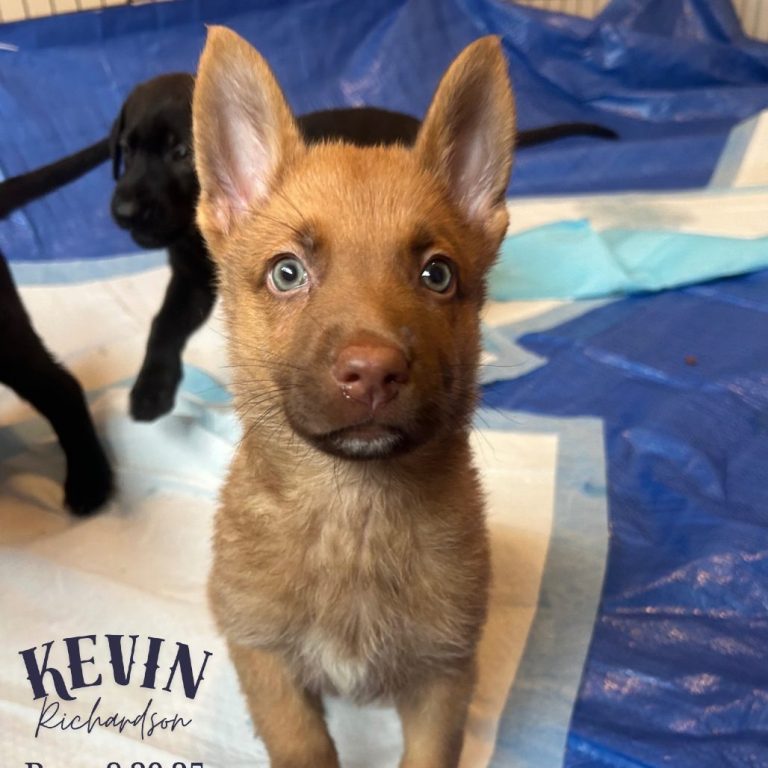 7e92cd797fbd2609874fdaf331fc5a30