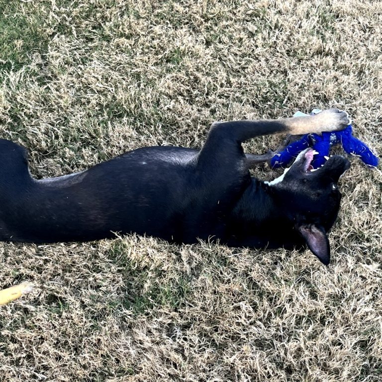 801db1164d03800332dd6f67b4cbf554