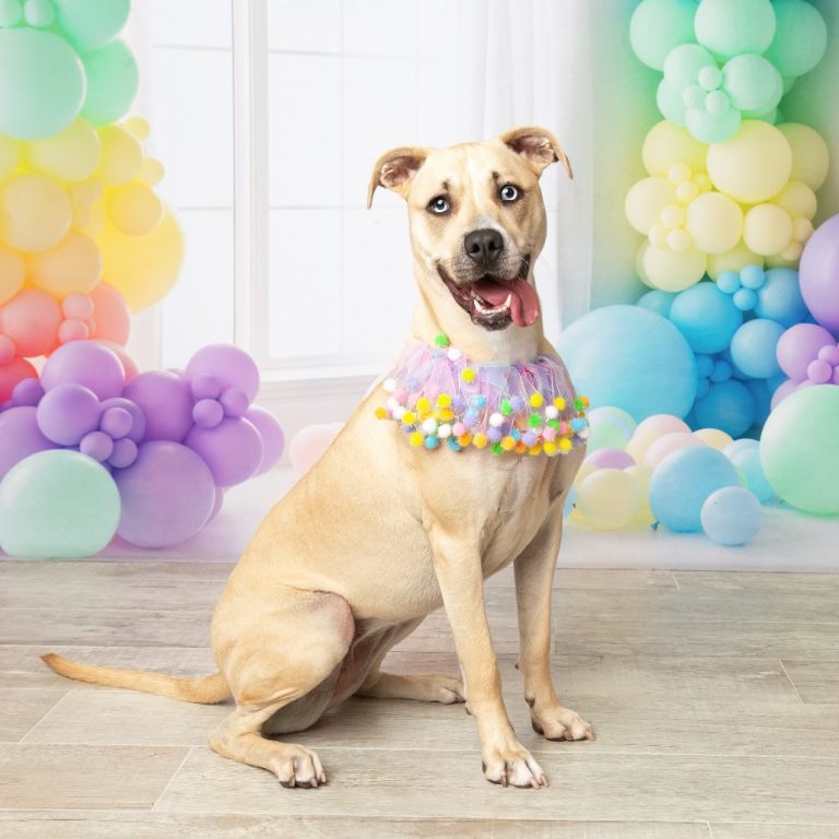 8d60f3e18efe184c1d83a85281a302a4