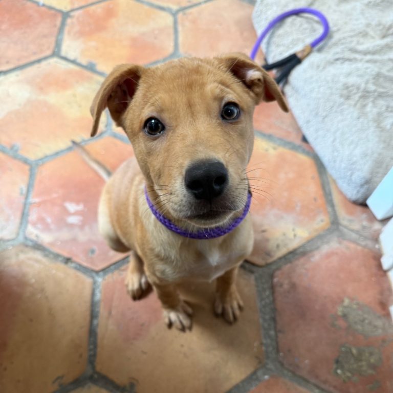 8eea22fac1c542ba5daa675cb9ae7536