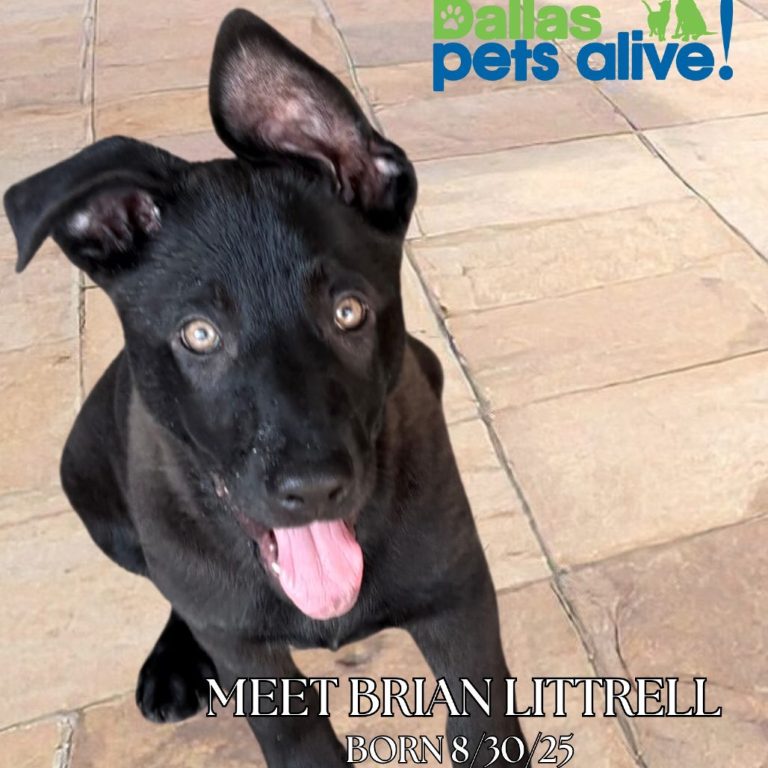 92eb9c741d4c0a368b7d0811bb3e3874