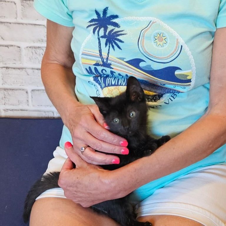 962b835d46e305fd06428eefd7408efc