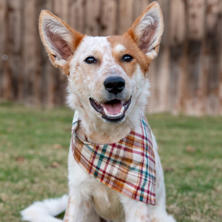 9a332a320a4fe7ccb966d8ba3506289b