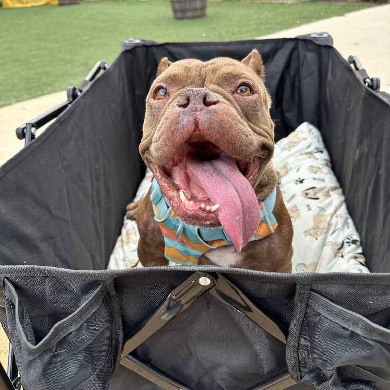 9a374baebfc6538262b85e5a8685572c